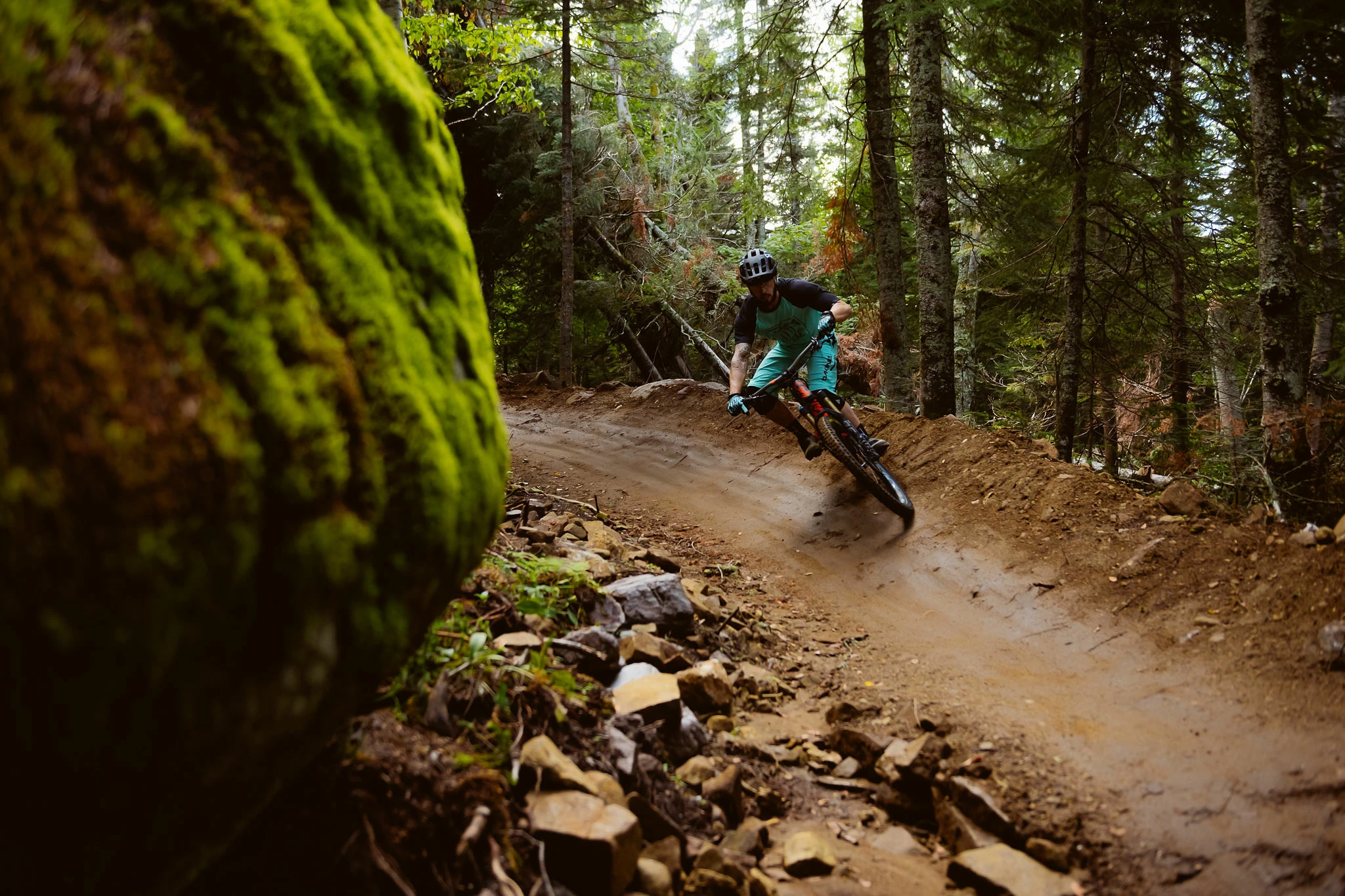 VTTs électriques Soldes -VTTs électriques Soldes 301589465 10160402552152867 1220810133873780506 n