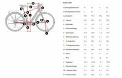 Trek FX+ 2 Viper Red -VTTs électriques Soldes FXPlus2